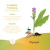 Phytopet Turmeric | 100% Natural Herbal remedy | Anti-Inflammatory, Anti-viral, Potent Liver and Digestive Tonic | For Dogs, Cats, Horses, Birds and Small Mammals | 30ml | view 3