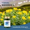 GinSen Huang Qi Blend, Vegan Approved Astragalus Supplement, Added Rhodiola and Magnesium, Focus & Concentration, Reduce Tiredness & Fatigue, 150 Capsules, Made in UK view 4