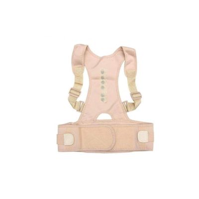Adjustable Adult Correction Belt Sitting Back Support Posture Corrector Magnetic Therapy Posture Brace Shoulder Spine Backrest (Color : Skin Color, Size : Large) Good