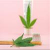 BioDenta Whitening Toothpaste Coconut + Mint, 75 ml - 98% Natural Vegan, Vegetarian and Halal Friendly. Free from SLS, PEG & Parabens view 4