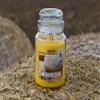 Candle jar 510g Vanilla Butter Cockies with Natural Wood Wick, Made in Italy view 2