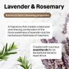 ATTITUDE Washing Up Soap with Essential Oils, EWG Verified, Plant and Mineral-Based Ingredients, Vegan, Lavender and Rosemary, Bulk Refill, 2 Liters view 4