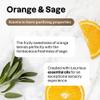 ATTITUDE Washing Up Soap with Essential Oils, EWG Verified, Plant and Mineral-Based Ingredients, Vegan, Orange and Sage, Bulk Refill, 2 Liters view 4