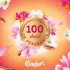 Comfort Creations Honeysuckle & Sandalwood Fabric Conditioner with Stay Fresh technology for 100 days of freshness + fragrance* 288 washes (6x 1.44 L) view 4