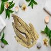 Behman Safed Roots-Centaurea Behen-Raw Herbs-Bahman White-Bheman-Jadi Booti-Single Herbs (250 Gram) view 2