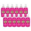 Fabulosa 4 in 1 Concentrated Antibacterial Disinfectant All Purpose Cleaner, 220ml, 12 Pack, Winter Angel view 1