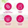 Fabulosa 4 in 1 Concentrated Antibacterial Disinfectant All Purpose Cleaner, 220ml, 12 Pack, Winter Angel view 3