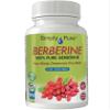 Simply Pure 100% Pure Berberine with NO Fillers or Binders | Blood Sugar Management & Heart Health | 500mg Capsules x 90 | Gluten Free | GM Free | Vegan view 1