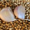 Jivana Spices Spice Blends and Seasonings (Garlic & Coriander Seasoning) 50g, Freshly Roasted & Blended view 4