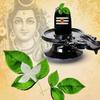Aashita Creations Pure Silver Bel patra/Bilva Leaves for Puja || Weight: 1gms, Purity: 97-99%. || Bel Patta view 4