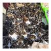 JUKUCKV Natural Black Smoky Quartz Stone Cluster Ornament Crystals Spiritual support view 2