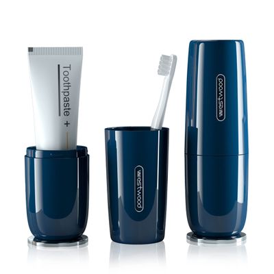 HyJeryty Luxury Blue Plastic Travel Toothbrush Holder with Cover, Portable Travel Toothbrush Cup Storage Container for School, Camping, Business Trip, Bathroom