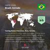 Kaphi Beans Single Origin Medium Roast Cerrado Brazil Coffee- Freshly Roasted (Wholebean, 2kg) view 2