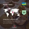 Kaphi Beans Single Origin Medium Roast Inzovu Rwandan Coffee- Freshly Roasted (Cafetiere, 2kg) view 3