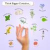Hello Wellness Brain Supplement 30 Capsules | Make in The UK Nootropics Brain Supplements | Contains Lions Mane, Rosemary, & Lemon Balm | Brain Fog Supplement | (60) view 2