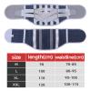 OZARE Back Support Brace Belt Back Supports Belt For Lower Back Pain Lumbar Support Belt For Men Women Back Pain Relief Herniated Disc Sciatica Scoliosis view 2