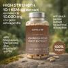 Ashwagandha KSM 66 -1000mg (Highly Concentrated 10:1 Extract Ratio Equivalent to 10,000mg per Serving)of which 5% Withanolides-with Vitamin B6, B1, Zinc, Magnesium & Manganese-120 Ashwagandha Capsules view 3