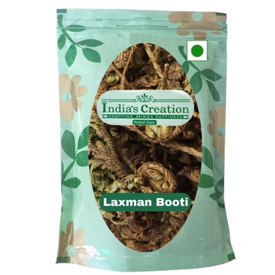 India's Creation Laxmana Booti Leaves-Selaginella Bryopteris-Raw Herbs-Sanjeevni-Sanjivni Booti-Jadi Booti-Single Herbs (250 Gram)