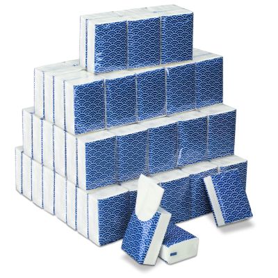 100 Pack Pocket Tissues Travel Packs Bulk 1000 Sheet Small Tissues Pocket Packs 3 Ply Mini Travel Size Tissue Packs Individual Tissue Packs (Cool)