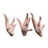 Chicken Feet, Frozen, +/-1kg view 1