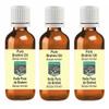 Devprayag Pure Brahmi Oil (Bacopa monnieri) Natural Therapeutic Grade (Pack of Three) 100mlx3 (10 oz) view 1