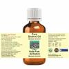 Devprayag Pure Brahmi Oil (Bacopa monnieri) Natural Therapeutic Grade (Pack of Three) 100mlx3 (10 oz) view 2