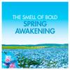Bold All in 1 Pods Spring Awakening 13 Washes view 4