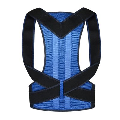 Back Corrector Adjustable Back Waist Posture Corrector Waist Trainer Men Women Adult Waist Support Spine Shoulder Support Belt Health and Relaxation (Color : Blue, Size : M)
