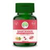 Aryan Herbals Shatavari (Finger Root/Indian Asparagus) 60 Tablets of 500 MG view 1