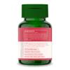 Aryan Herbals Shatavari (Finger Root/Indian Asparagus) 60 Tablets of 500 MG view 2