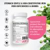 Liposomal Iron Supplement (as Ferrous Sulfate) with Folic Acid 400mcg and Vitamin B12 10mcg, Increase Iron Levels for Adults, Superior Absorbed and Stomach Friendly (60 Count (Pack of 1)) view 2