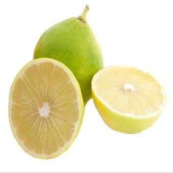 1kg frozen bergamot fruit from Calabria in Italy expertly sourced by My Exotic Fruit (citrus bergamia)