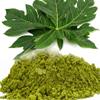 India's Creation Papaya Leaf Powder-Papita Patta Powder-Raw Herbs-Jadi Booti-Single Herbs (50 Gram) view 2