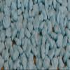 25g 3D 10mm Edible Matt Teddies Teddy Sugar Cupcake/Cake Decoration Sprinkles (Baby Blue) view 2