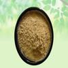 BalaMool Powder-SIDA Cordifolia Root-Raw Herbs-bala Mool Powder-BalaMul-Bala Root-Jadi Booti-Single Herbs (50 Gram) view 2