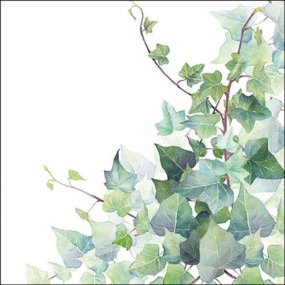 20 Ambiente Paper Napkins "Hedera White" Vintage Table Decoration with Motif Also for Party or Decoupage 33 x 33 cm