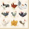 20 napkins, chicken species, table decoration, decoupage, napkin technology, 33 x 33 cm view 1