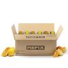 REFIX Mixed pack Orange & Lemon 24 Tetrapak 250ml - Organic Recovery Drink view 2