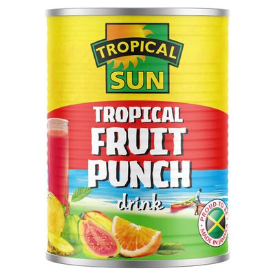 Tropical Sun Fruit Punch 24 x 540ml