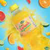2 x Pure Jamaica Splash Citrus Punch 12x500ml view 1