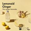 Lemonaid Sparkling Soft Drink: Ginger and Lemon - 24 x 330ml view 3