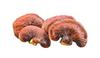 Organic Reishi Extract Powder. 30% beta glucan, 40% polysaccharides. Great for Immunity, Sleep, The high Strung & Stressed-Out. view 3