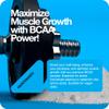 Rapid Strength BCAA Powder - BCAA Intra Workout Amino Acid Recovery Drink - Branched Chain Amino Acids BCAAs Supplement - BCAA Powder Alternative - Pre Workout Supplement for Energy view 3