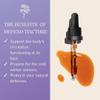 Defend Herbal Tincture - Natural Immunity Support - All-Natural Black Elderberry, Rosehip & Ginger Blend - Herbal Liquid Drops - Winter Comfort Supplement - 30ml, Blooming Blends view 4