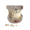 Dental Implant Disease Teeth Model Transparent Tooth Pathological Model Removable Teeth Neural Repair Dental Teeth Model for Patient Education view 1