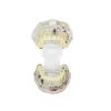 Dental Implant Disease Teeth Model Transparent Tooth Pathological Model Removable Teeth Neural Repair Dental Teeth Model for Patient Education view 4