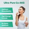 Longevity Box Pure Ca-AKG Supplement - 60 Capsules, High Strength 500mg Calcium Alpha-Ketoglutarate per Serving, Vegan & Non-GMO Ca-AKG Supplement for Vitality, Mental Focus & DNA Structure view 2