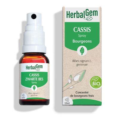 HerbalGem Blackcurrant Spray Organic 15ml