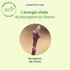 HerbalGem Blackcurrant Spray Organic 15ml view 4