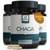 Earth BOTANIC Organic Chaga Mushroom Extract 120 Capsules|Immune and Digestive Supports- Non-GMO Supplements with Beta-Glucans view 1
